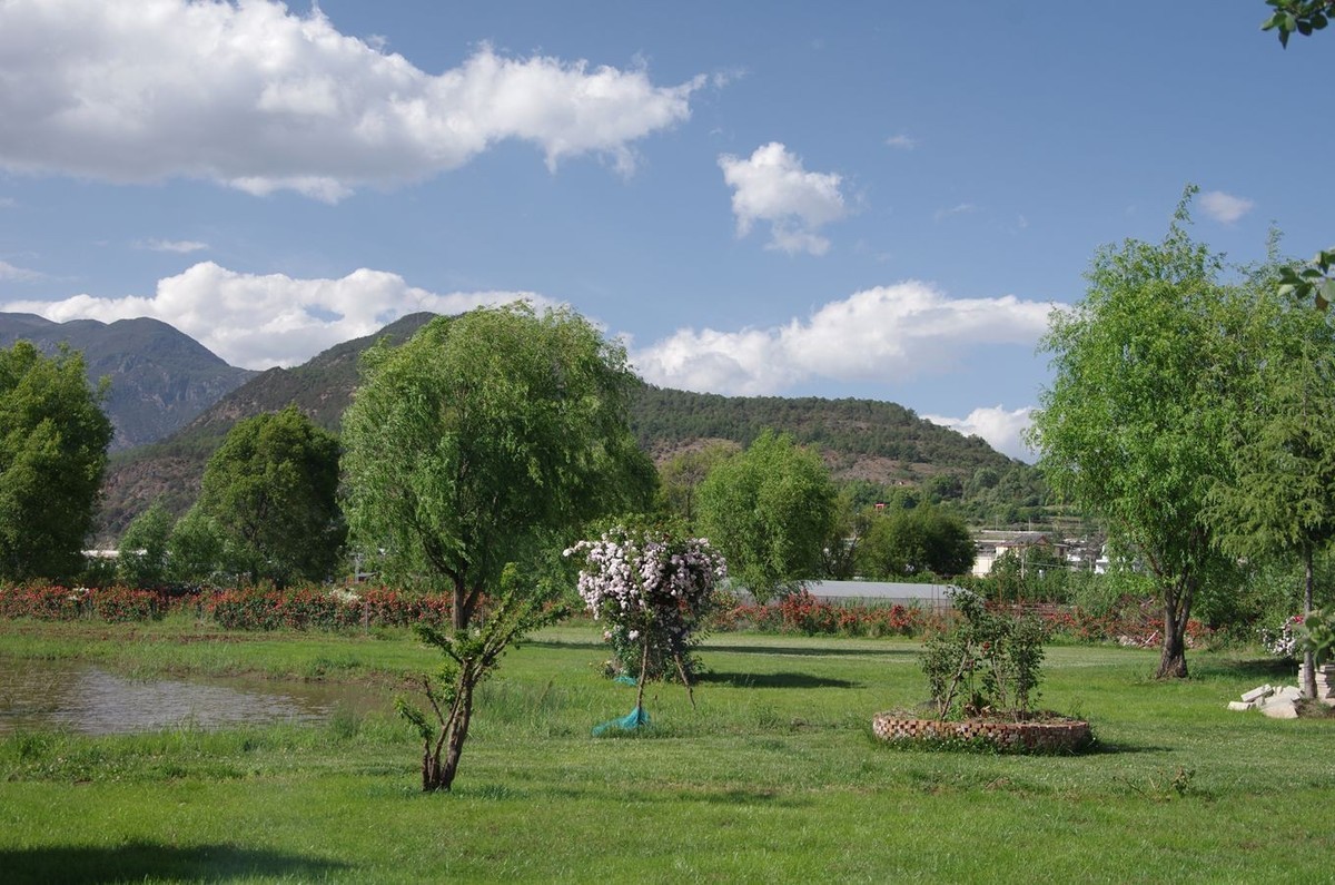 拉市海湿地公园