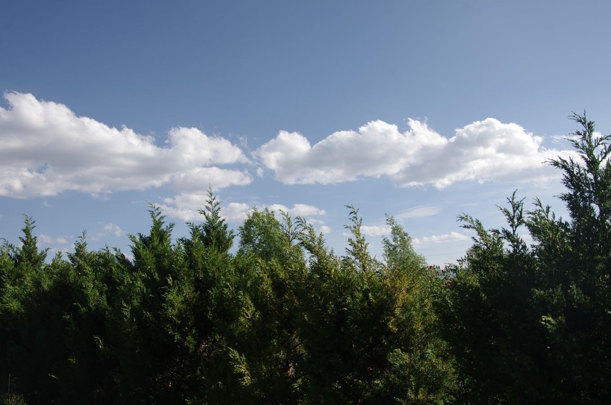 拉市海湿地公园