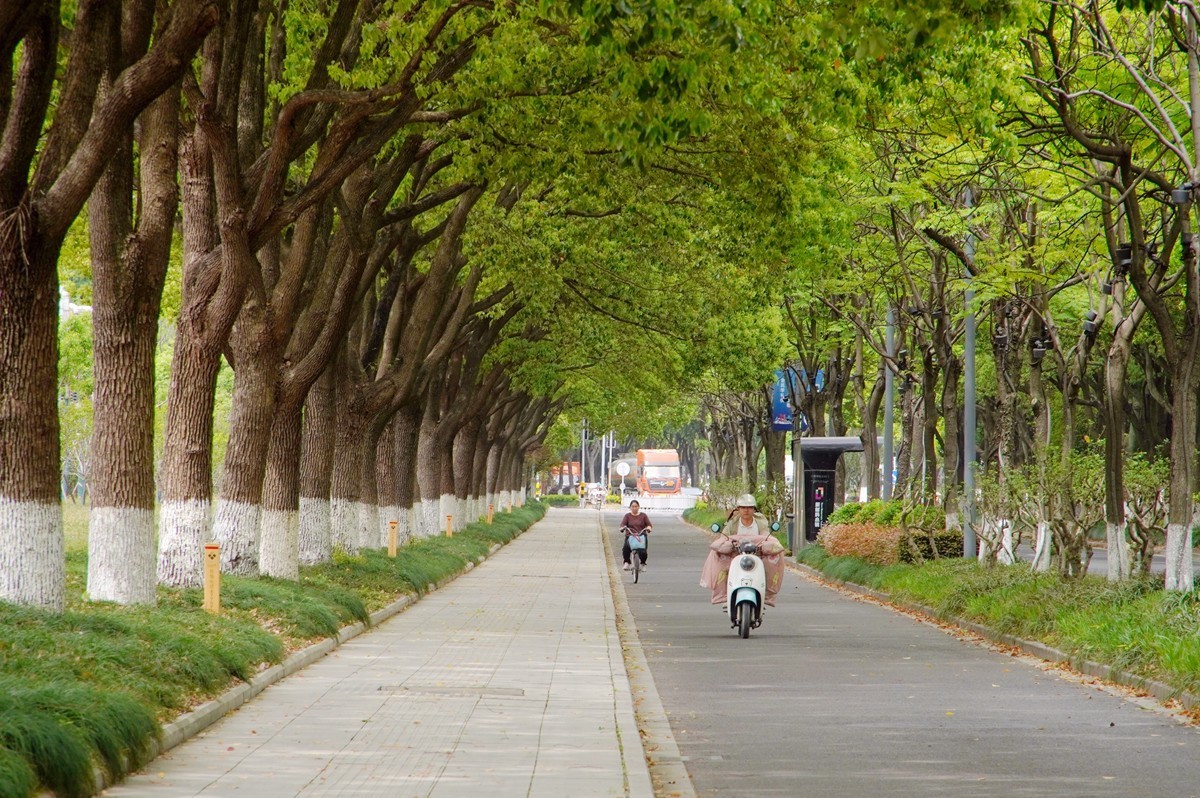春日游拍之十二