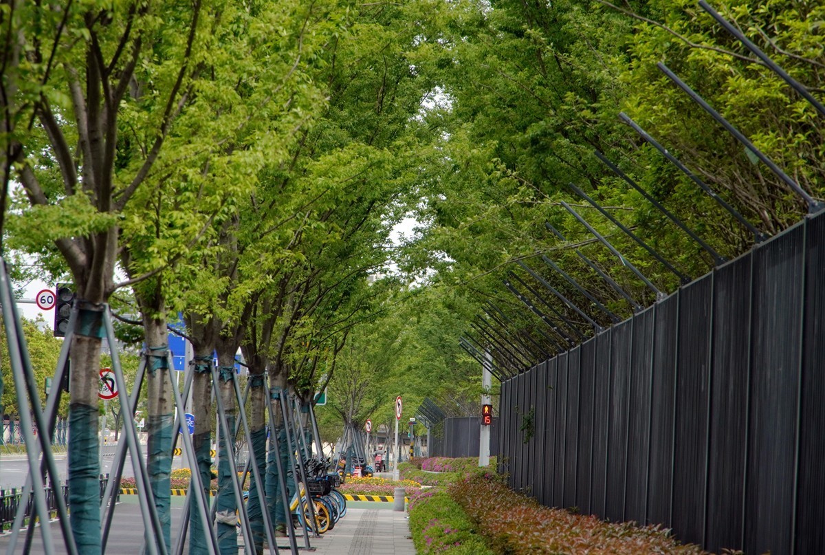 春日游拍之十二