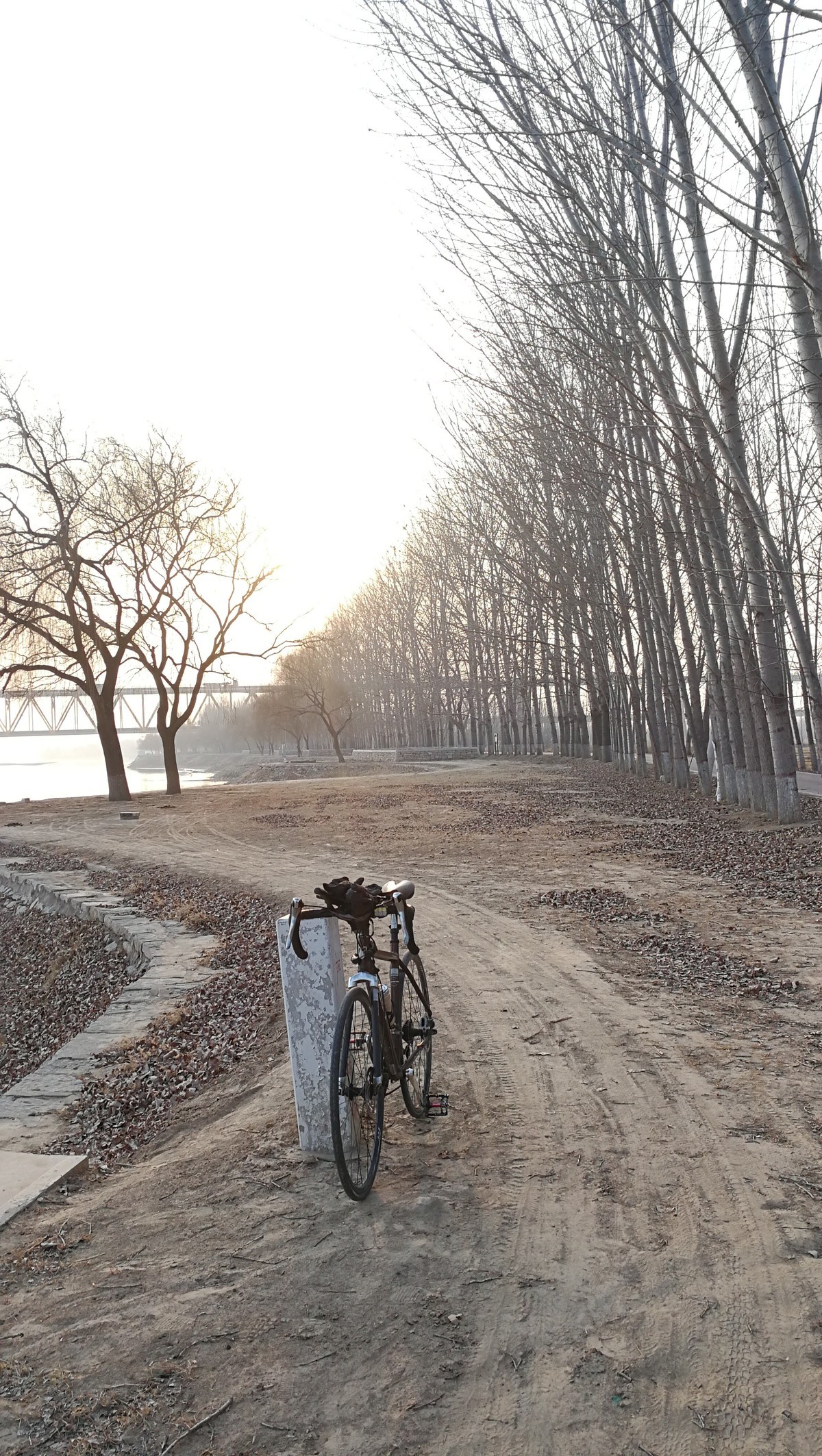 大河边的大碗面