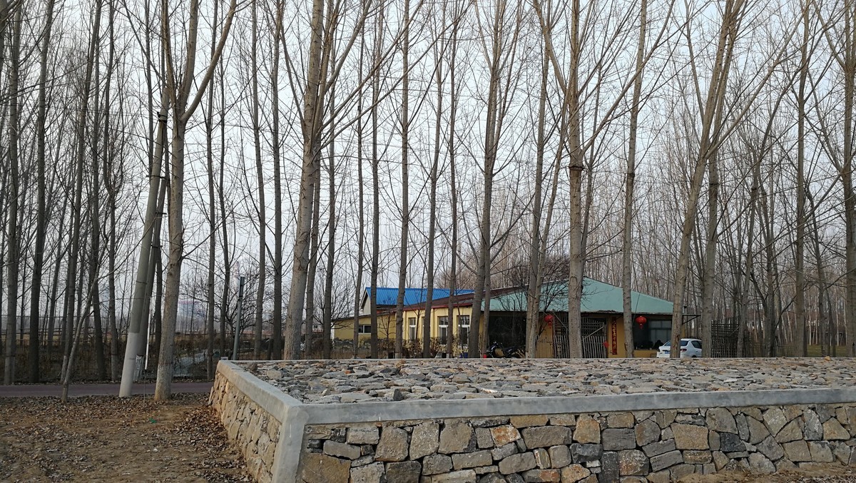 大河边的大碗面