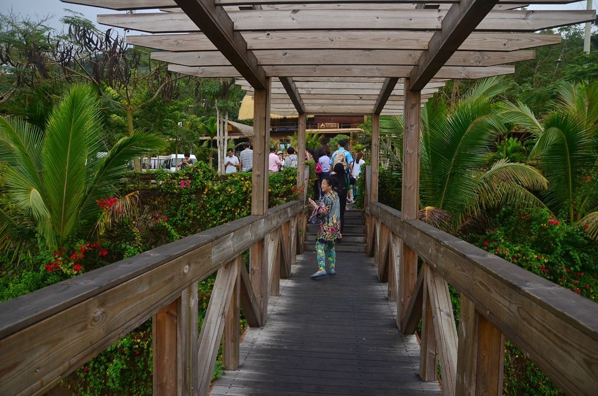 三亚——槟榔谷（3）