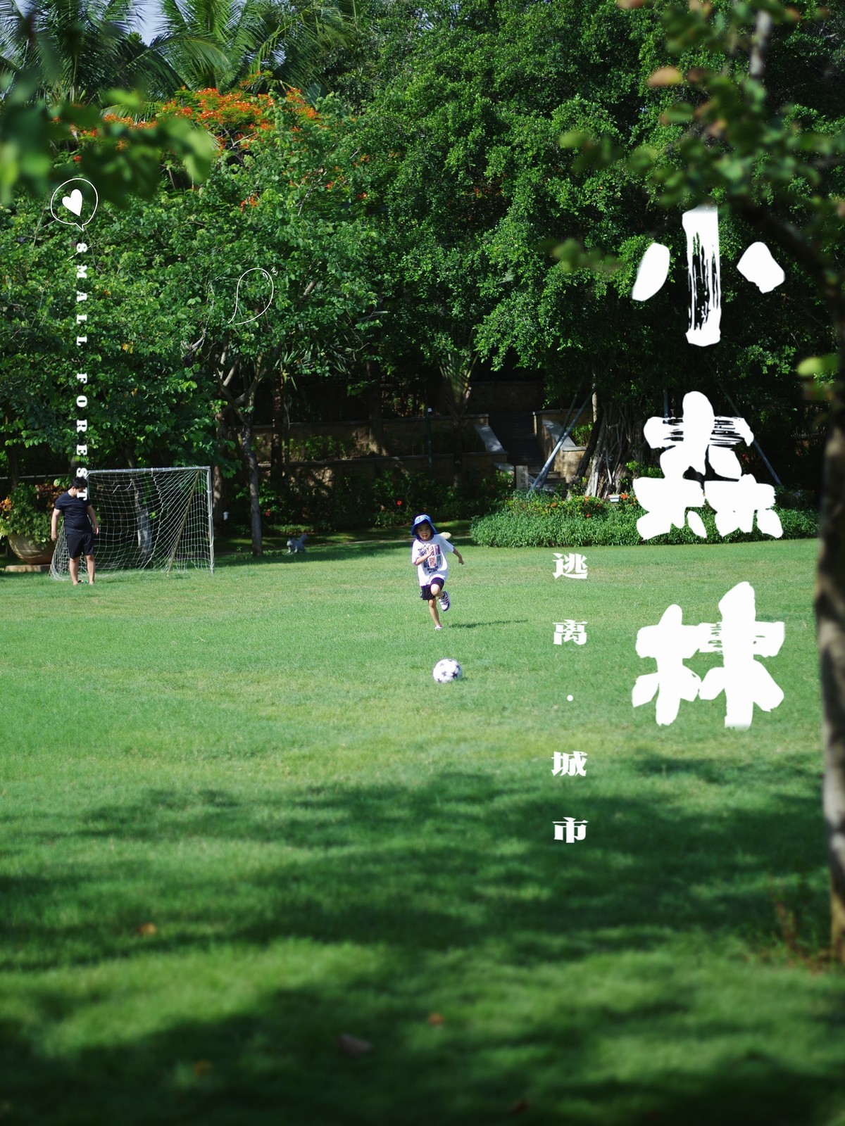 带着K12来三亚扫街，怡然自乐，趣味无穷