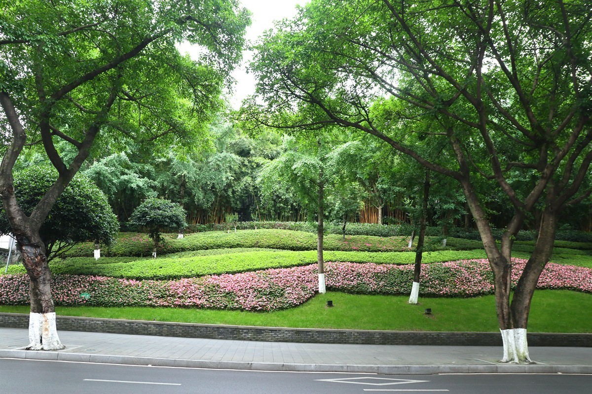 上清寺、中四路随拍(三)