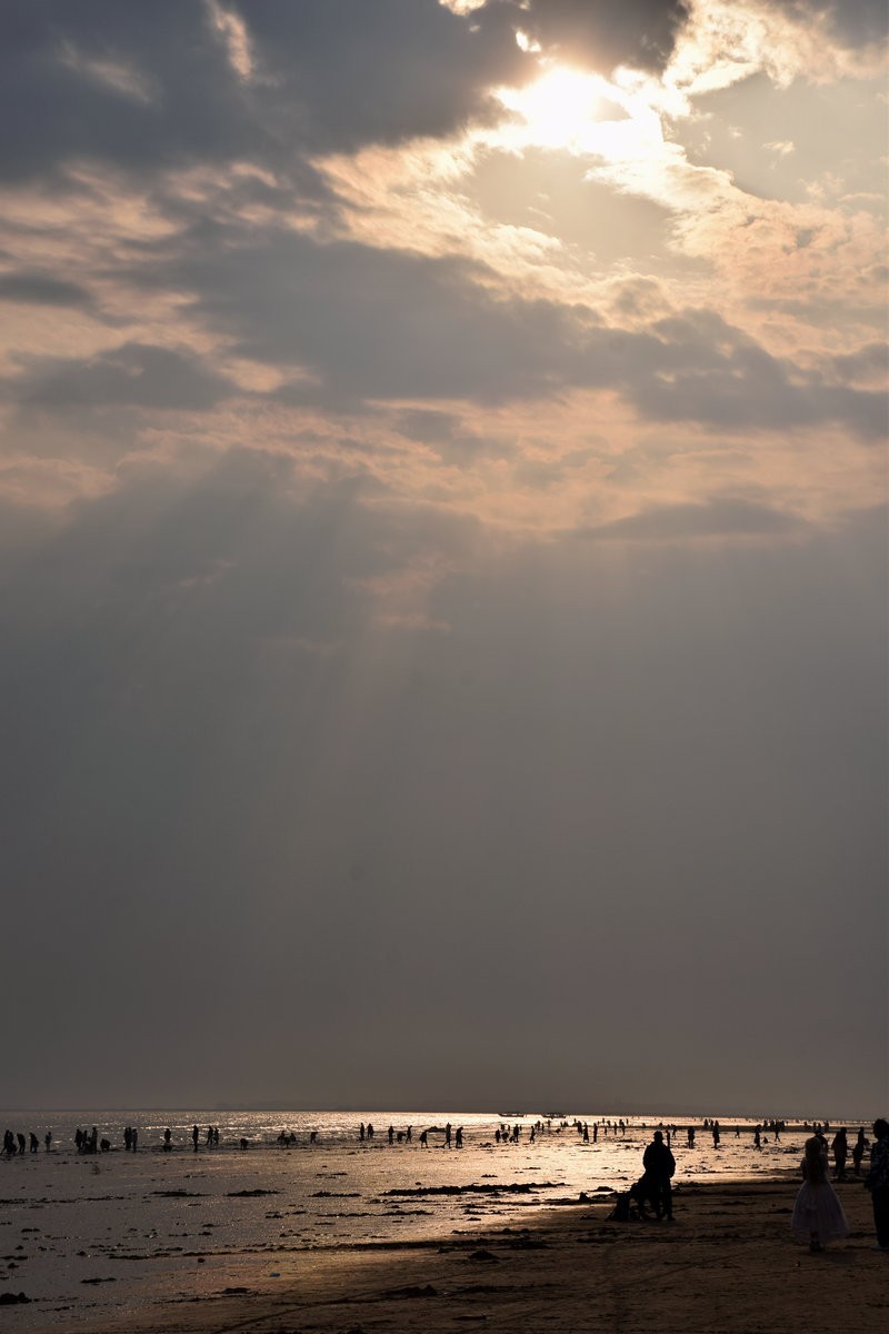 2024春节 滇桂沿边行（30）金灿灿的海滨