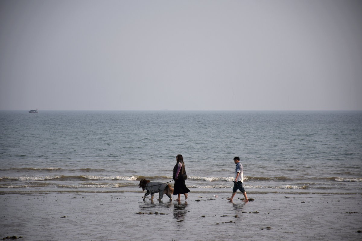 2024春节 滇桂沿边行（30）金灿灿的海滨