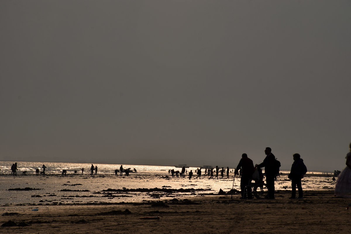 2024春节 滇桂沿边行（30）金灿灿的海滨