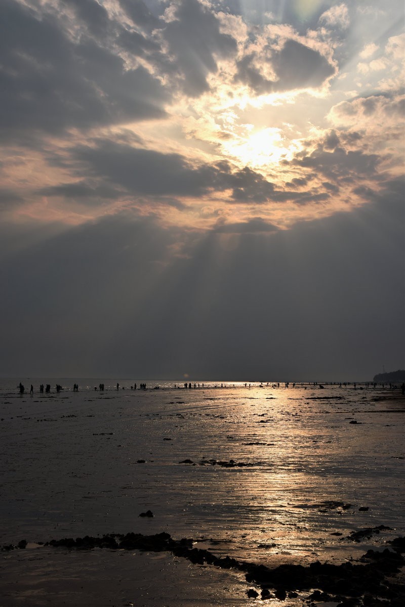 2024春节 滇桂沿边行（30）金灿灿的海滨