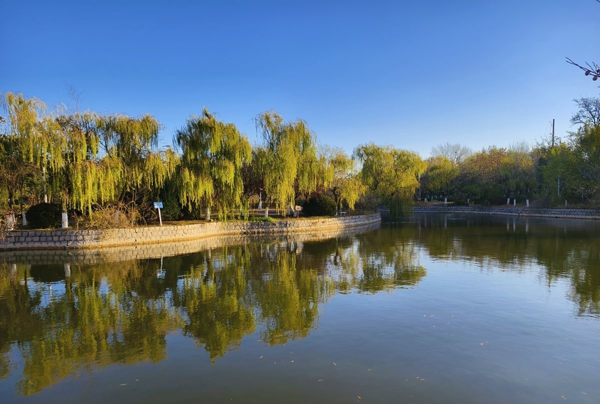 留住冬日里的秋色