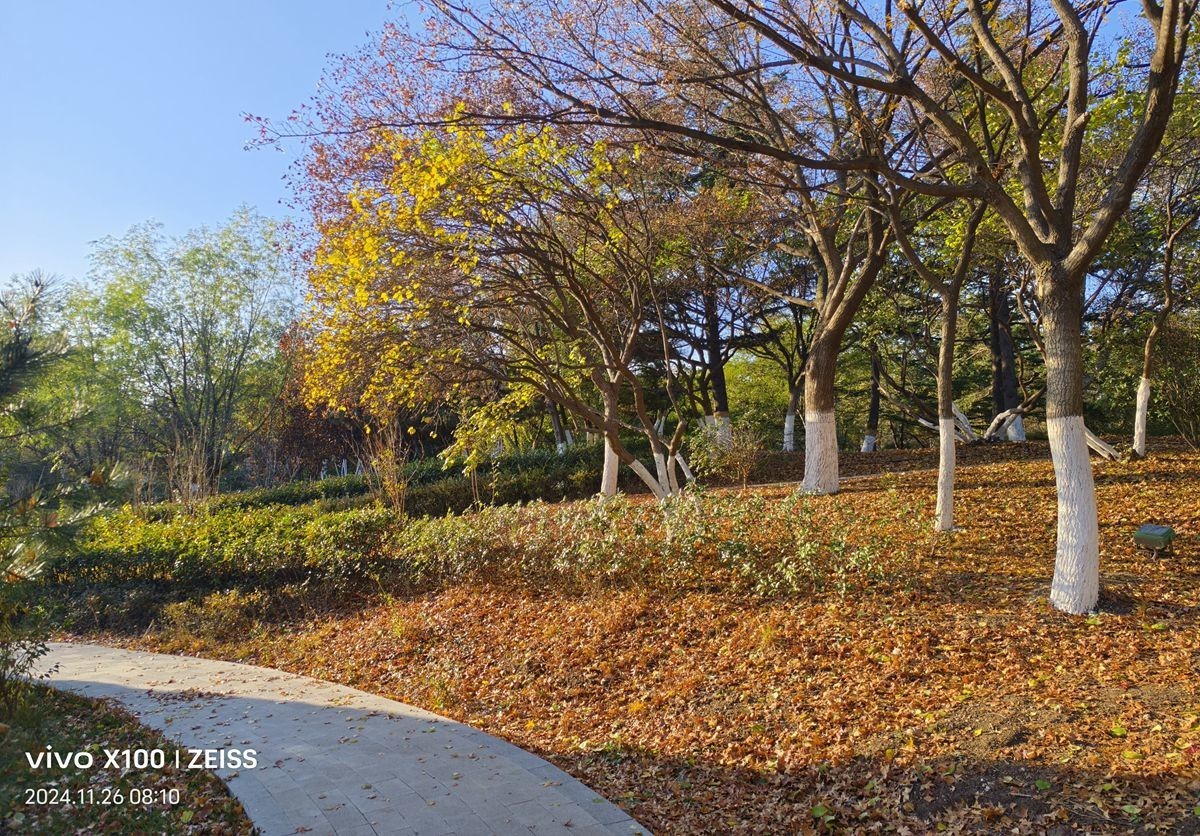 留住冬日里的秋色