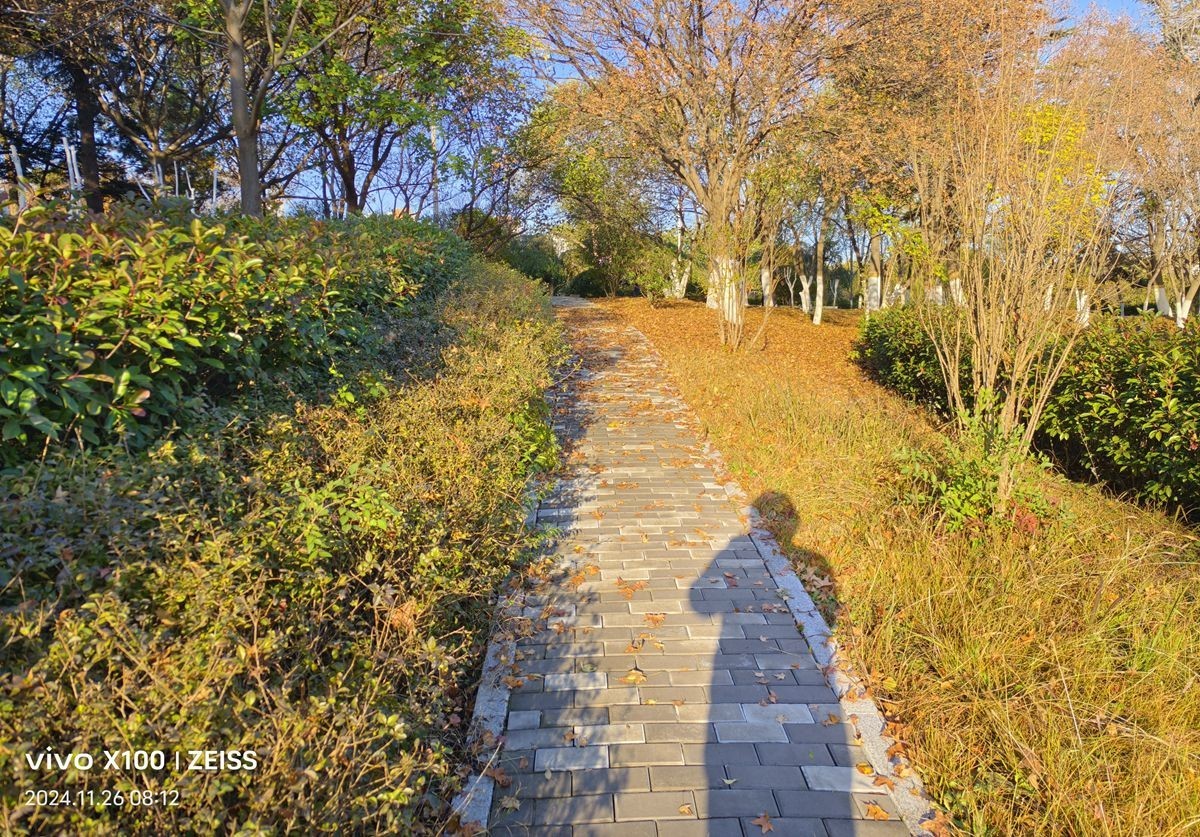 留住冬日里的秋色