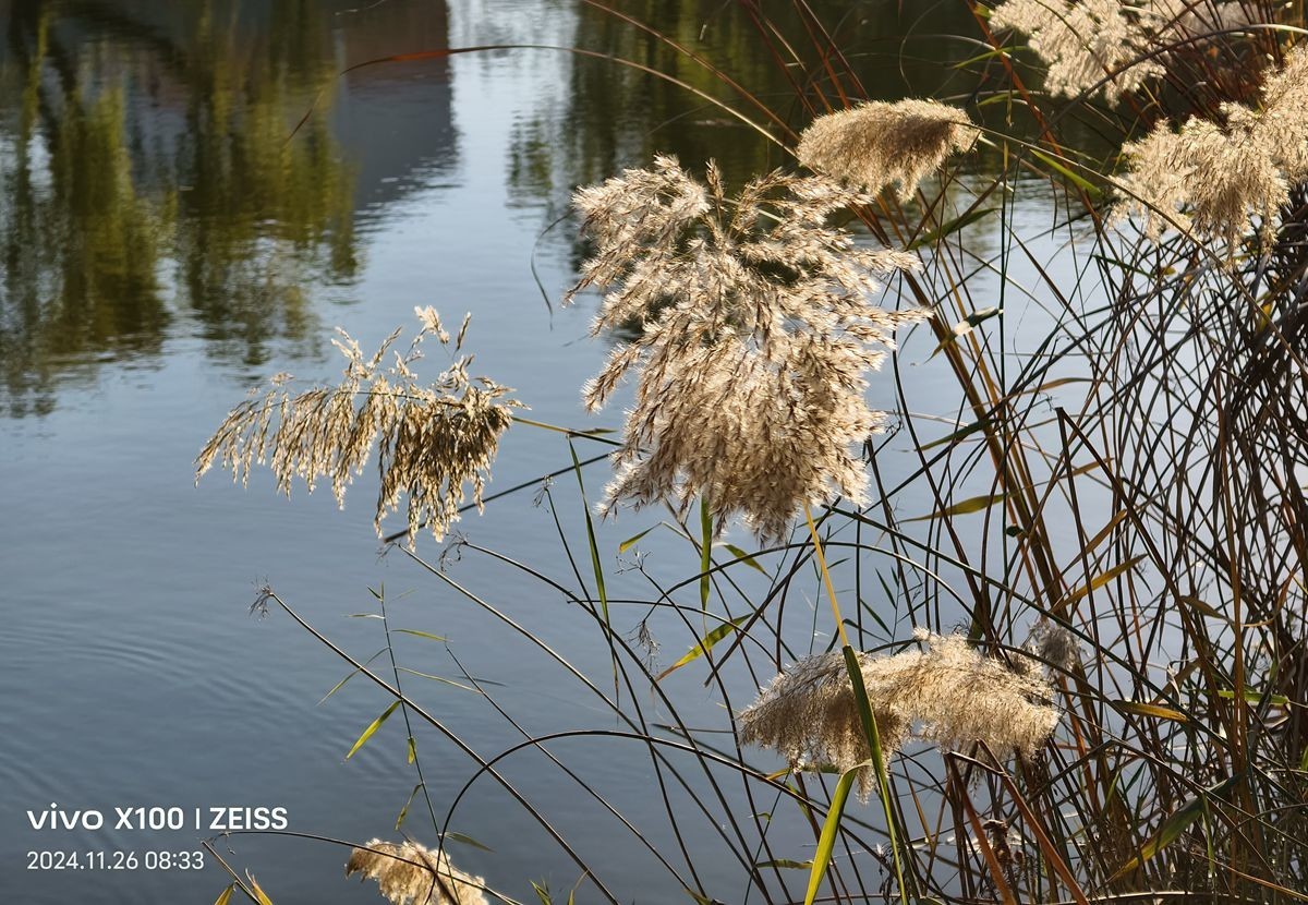 留住冬日里的秋色