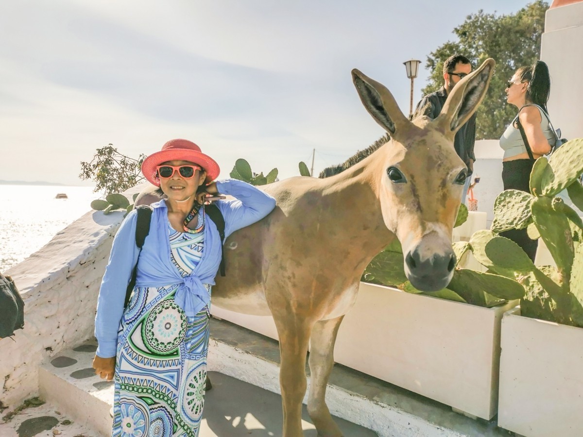 邮轮行之——希腊“米岛”（Mykros）