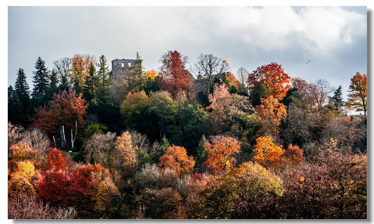 秋在“黑森林”（南德）