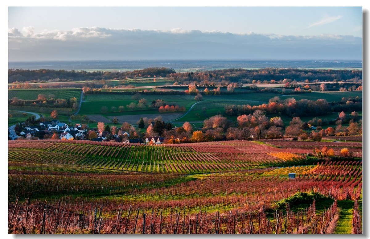 秋在“黑森林”（南德）