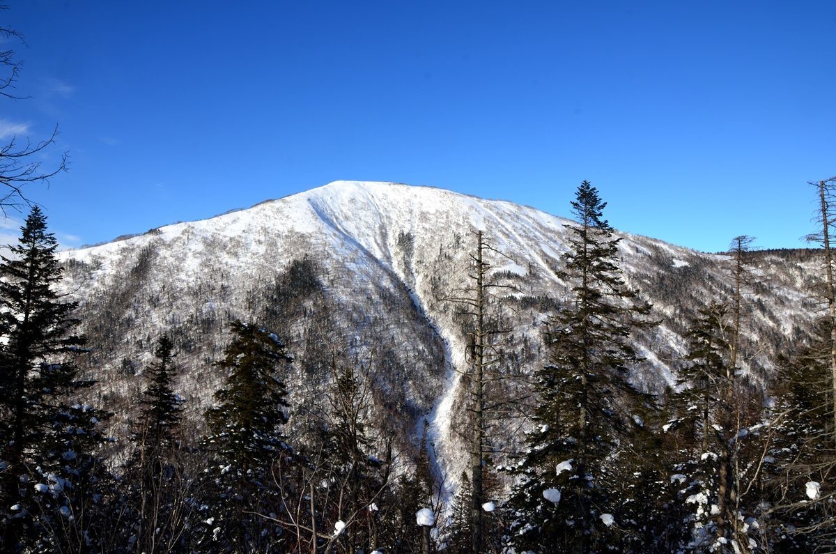 亚布力——二浪河子雪乡游拍（3）