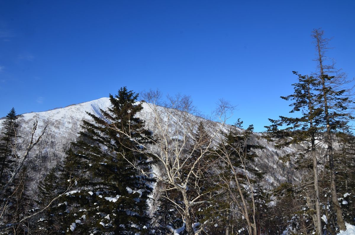 亚布力——二浪河子雪乡游拍（3）