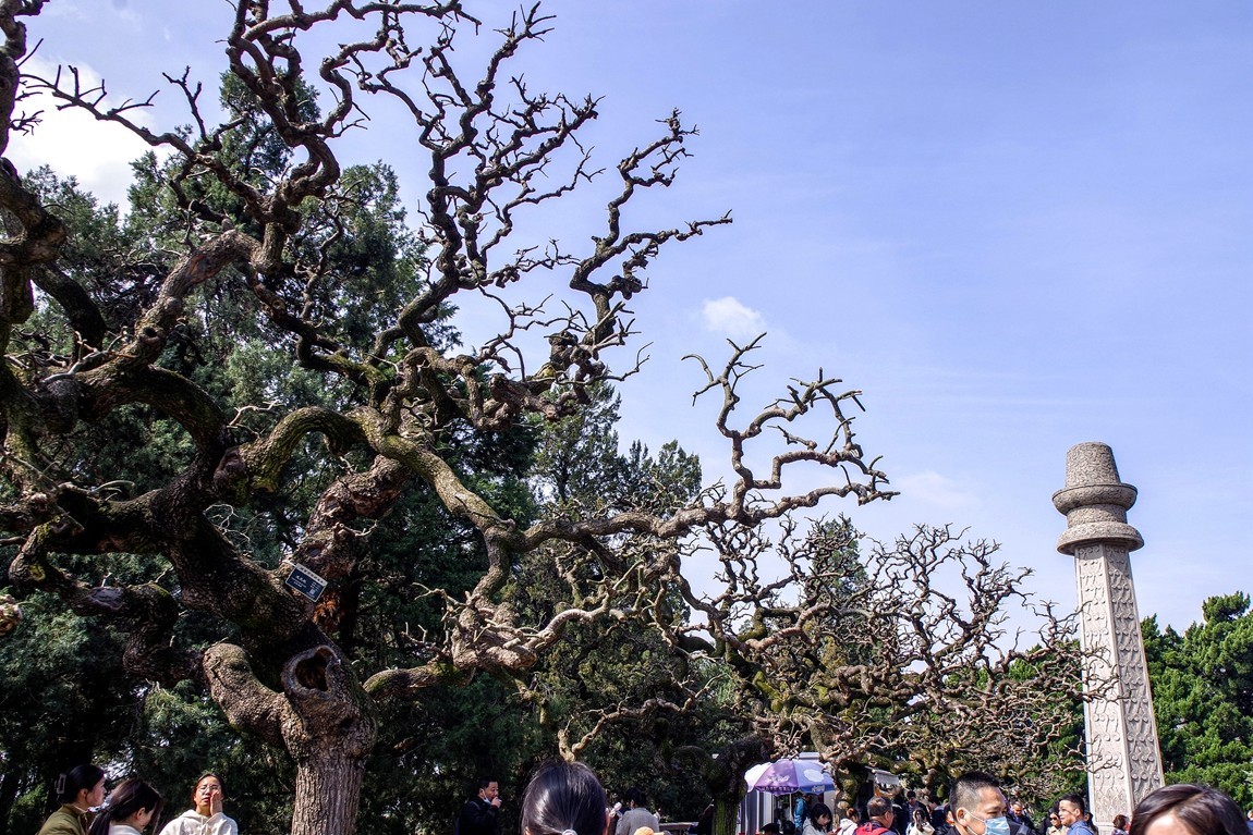 南京--拜谒中山陵【6】