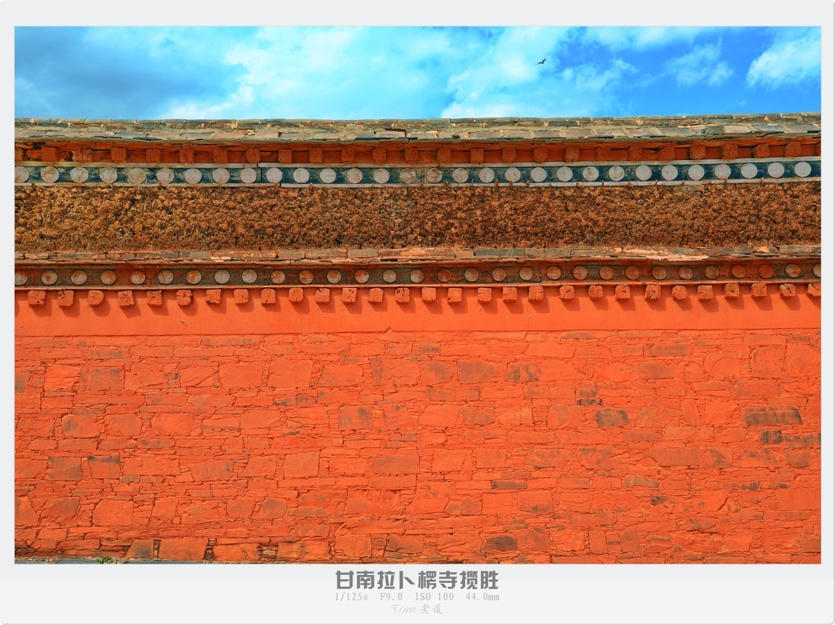 甘南拉卜楞寺探幽！！