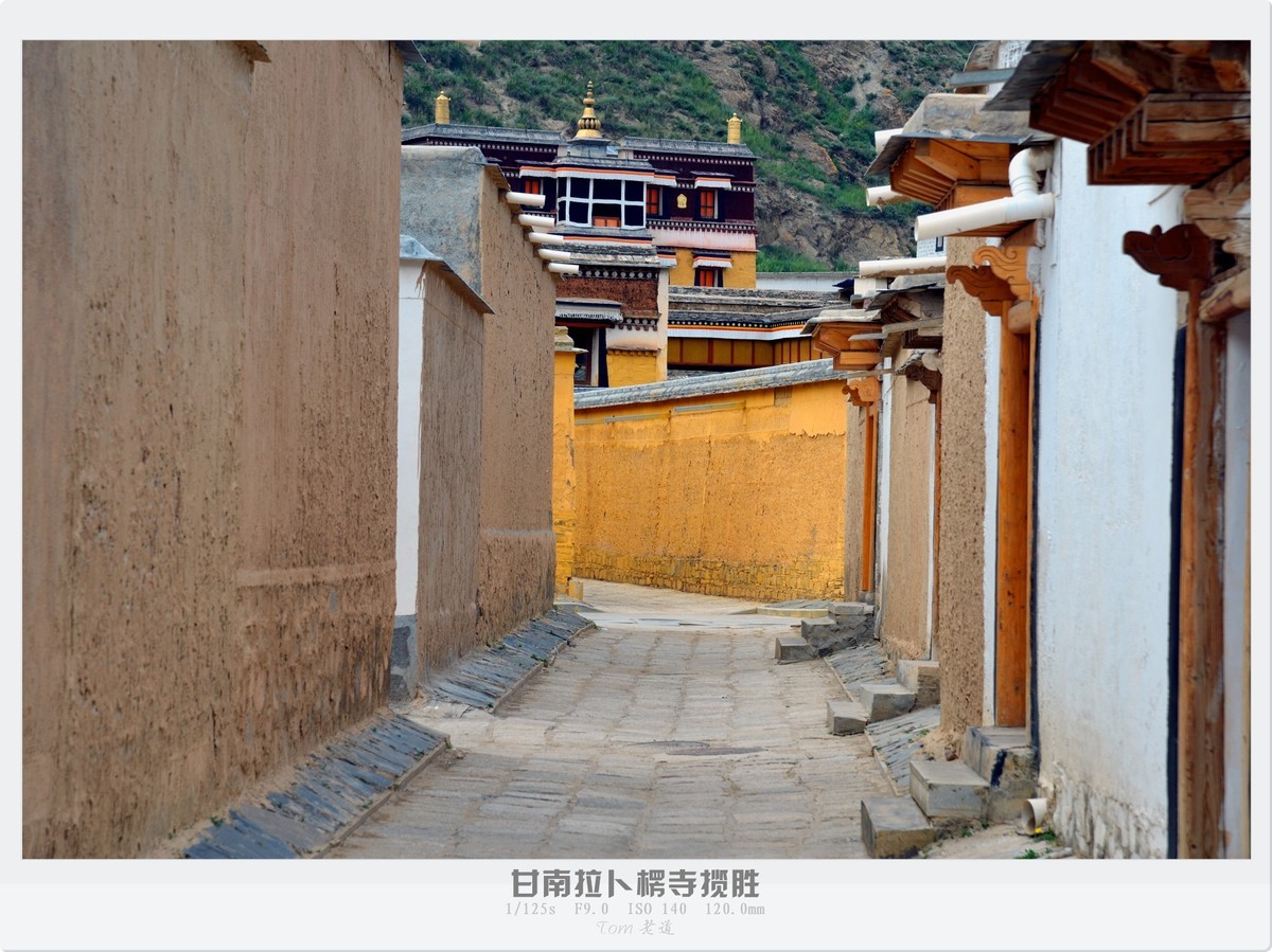 甘南拉卜楞寺探幽！！