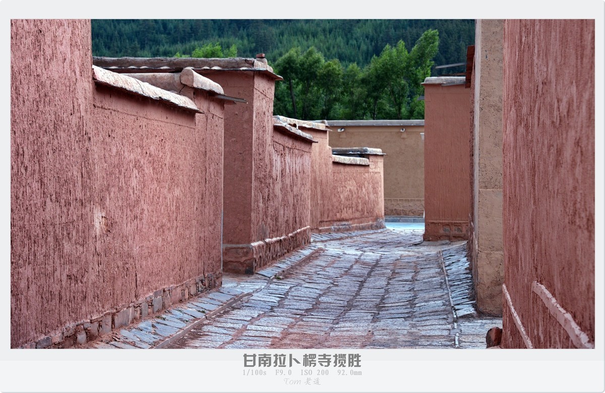 甘南拉卜楞寺探幽！！