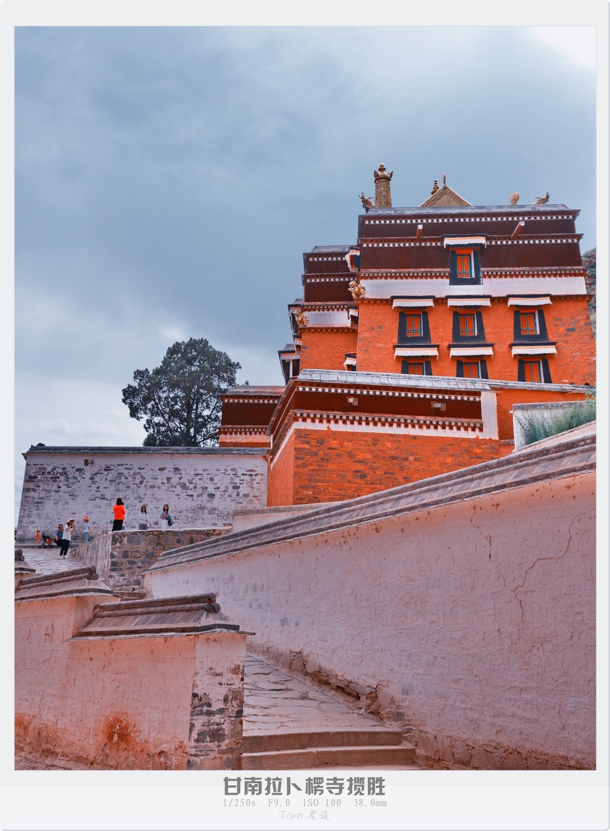 甘南拉卜楞寺探幽！！