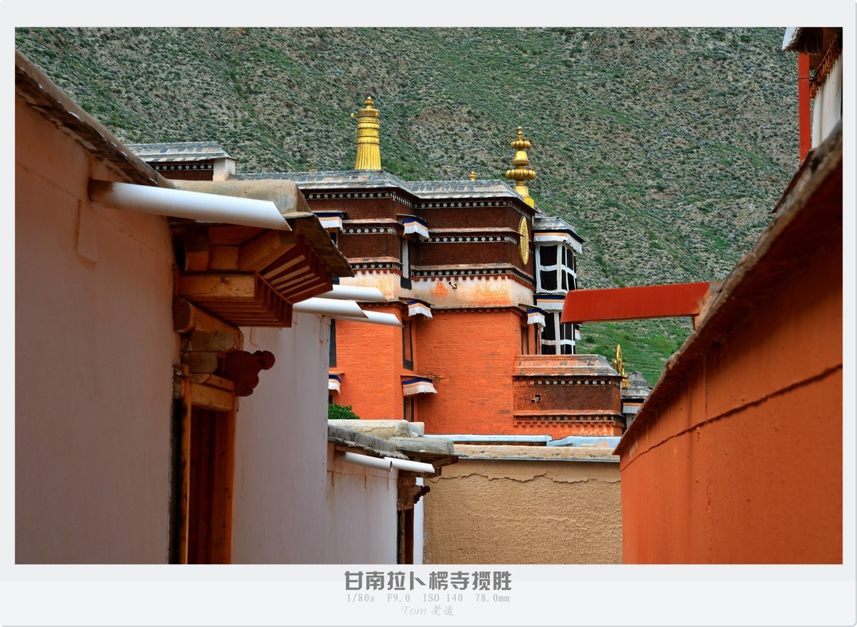 甘南拉卜楞寺探幽！！