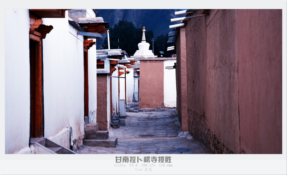 甘南拉卜楞寺探幽！！