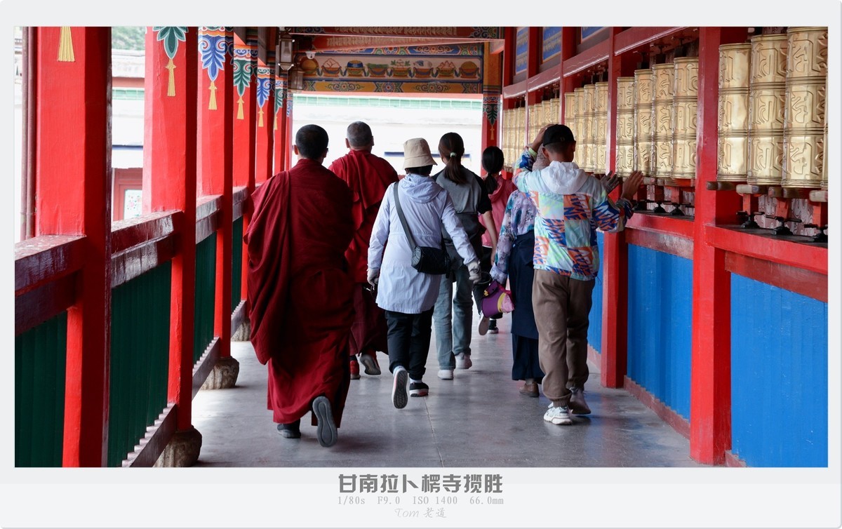 甘南拉卜楞寺探幽！！