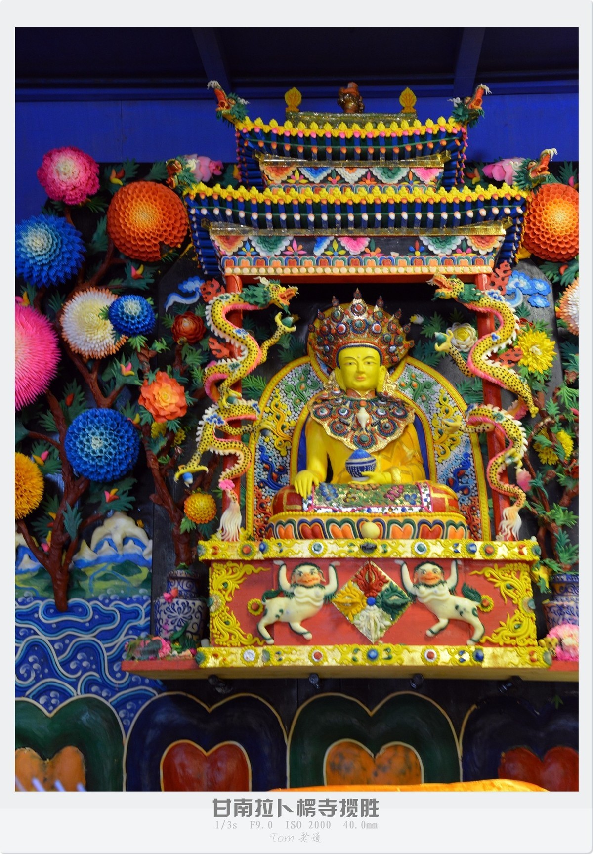 甘南拉卜楞寺探幽！！