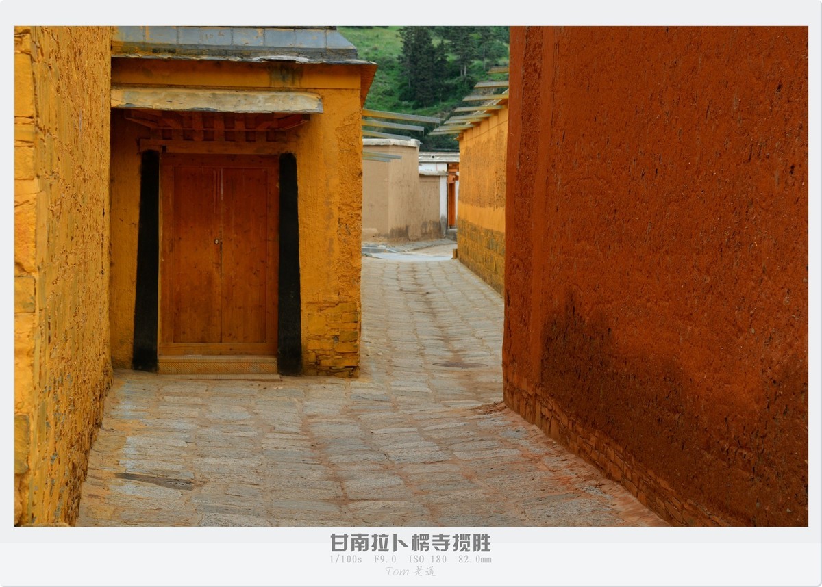 甘南拉卜楞寺探幽！！