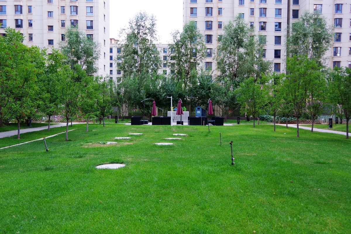 俺并不喜欢玩摄影，只是喜欢随手拍而已！