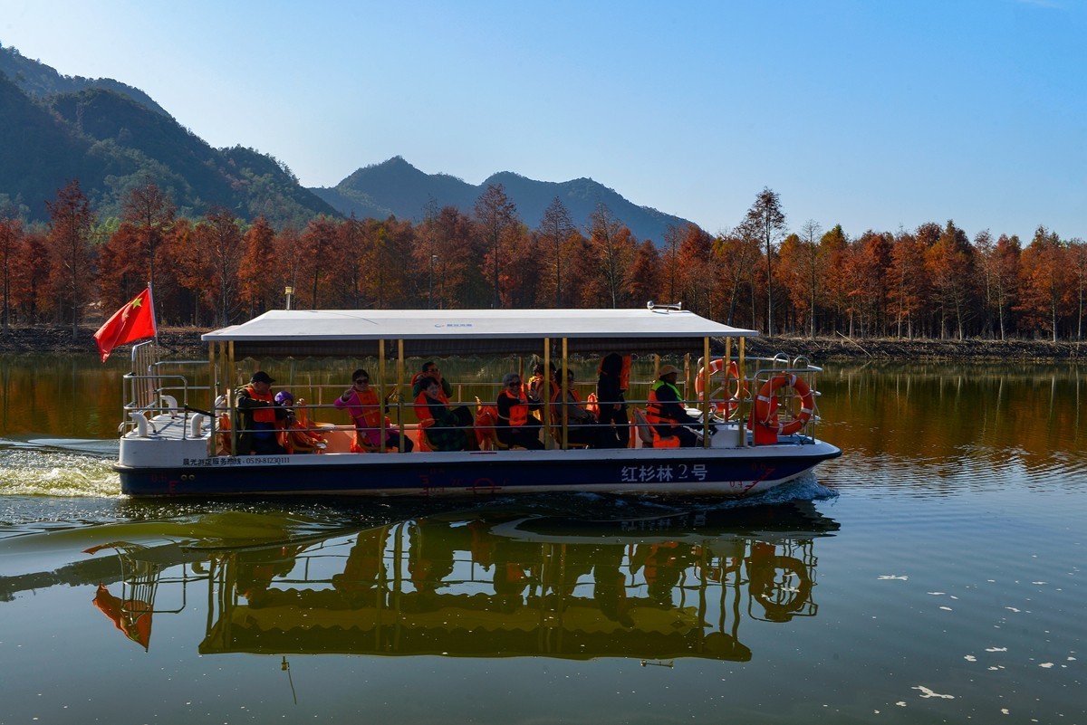 皖南川藏线 落羽红杉林（2）