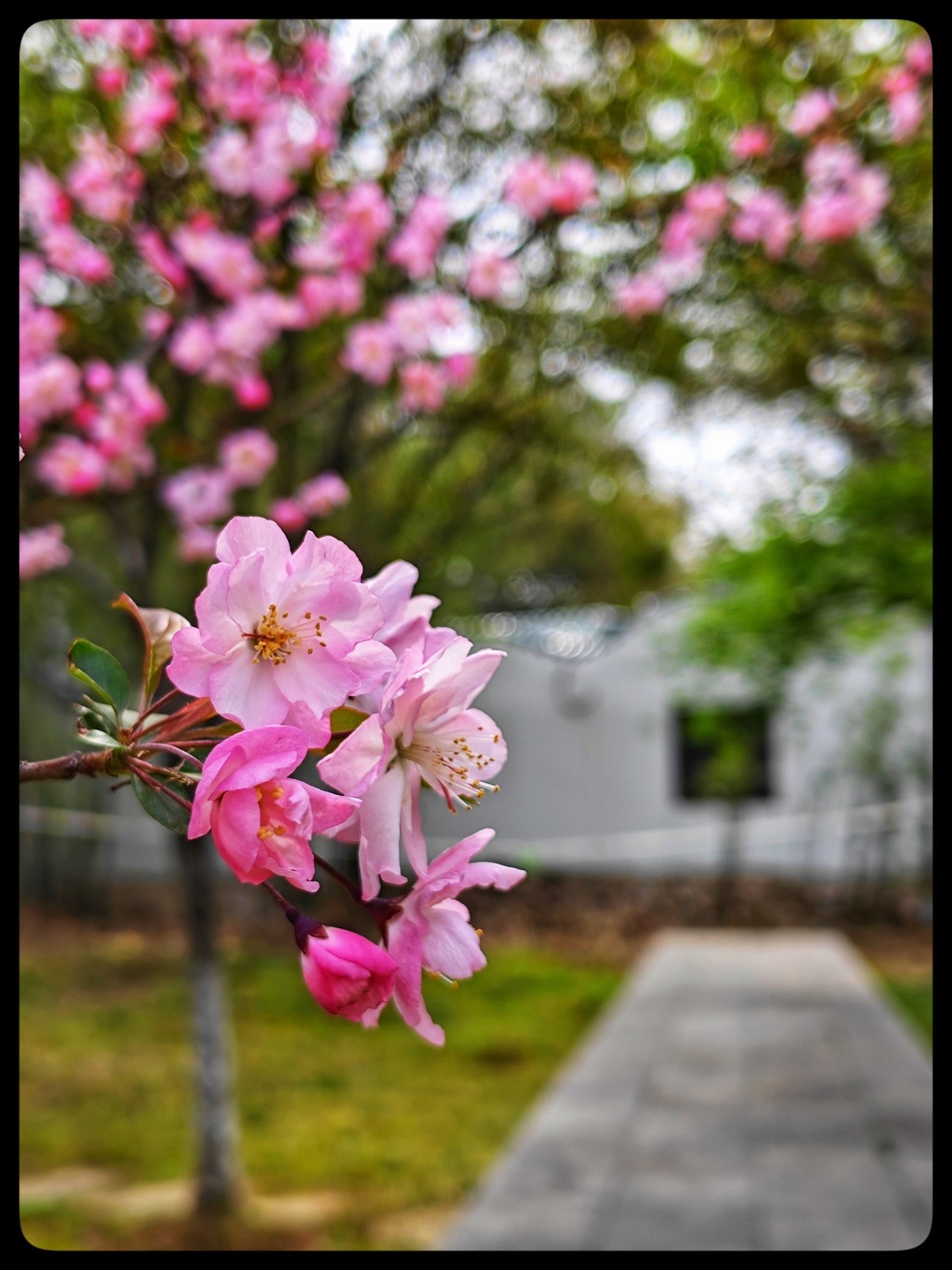 花季踏青好时节