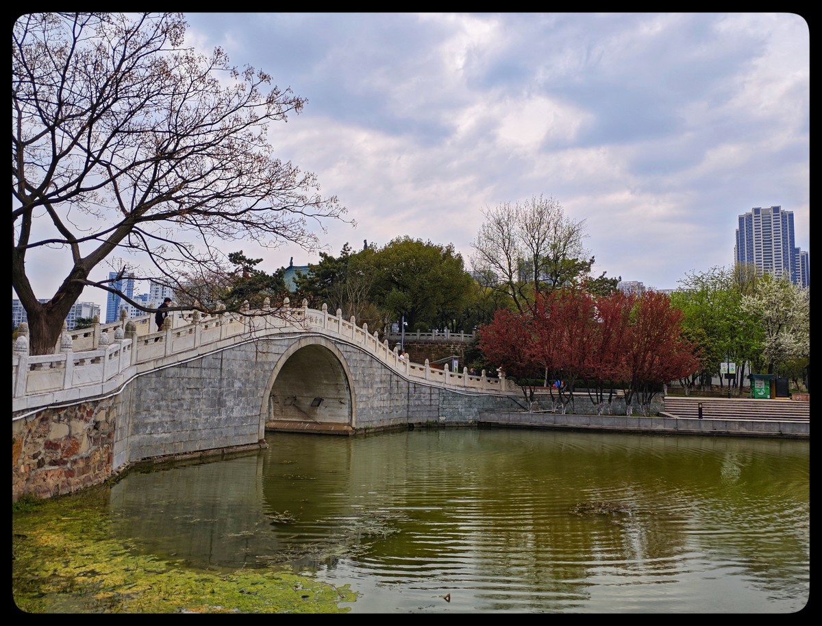 花季踏青好时节