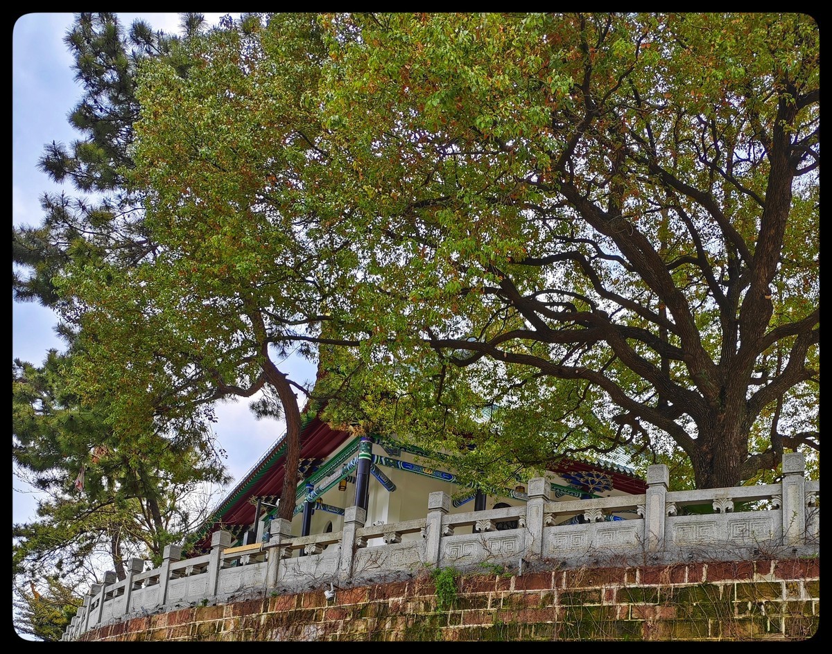 花季踏青好时节