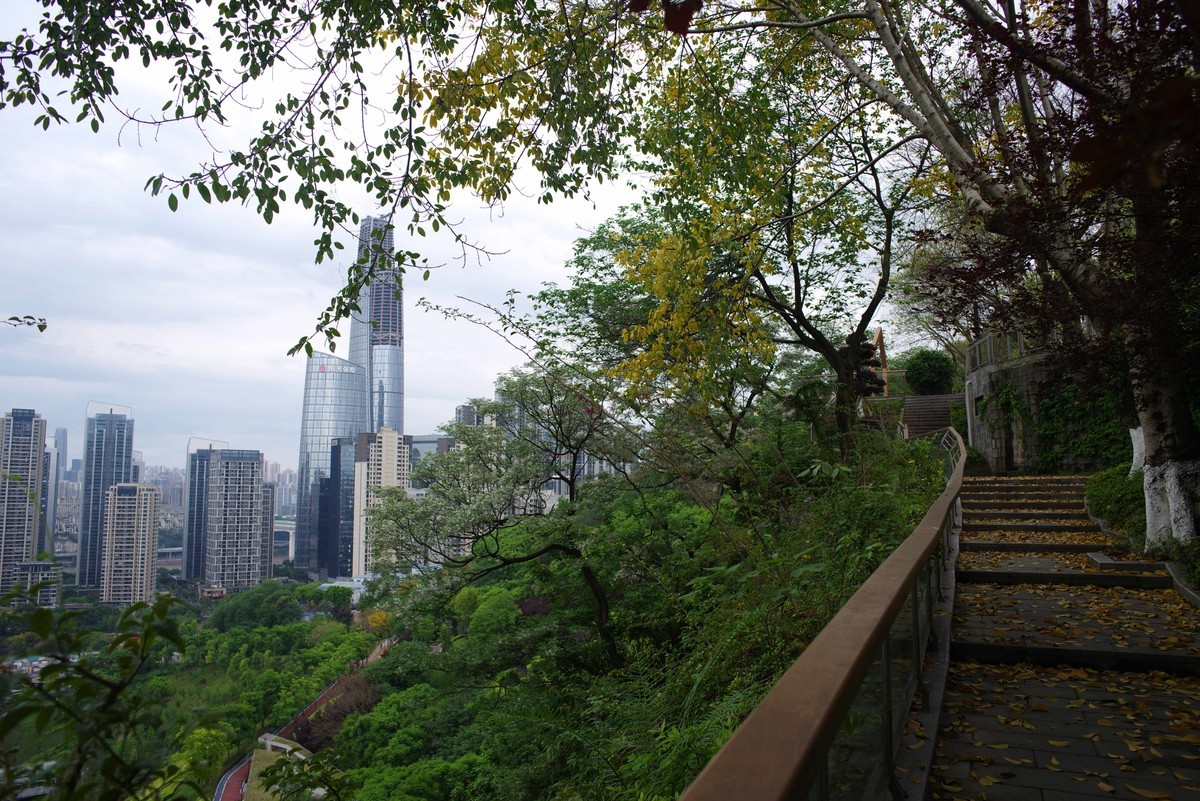 渝中半岛虎头岩公园