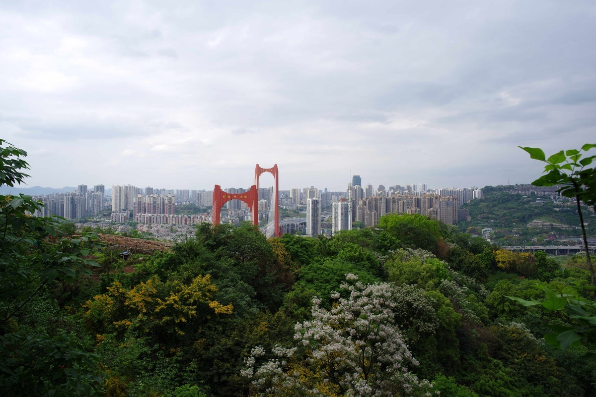 渝中半岛虎头岩公园