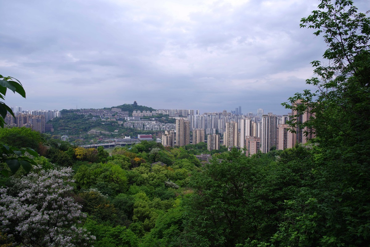 渝中半岛虎头岩公园