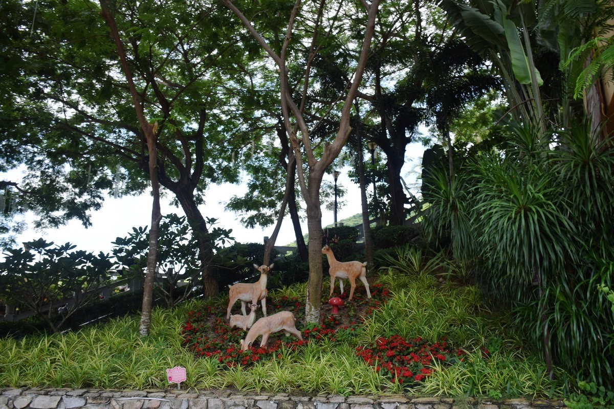 2024夏 海南环岛行（103）鹿女回头处