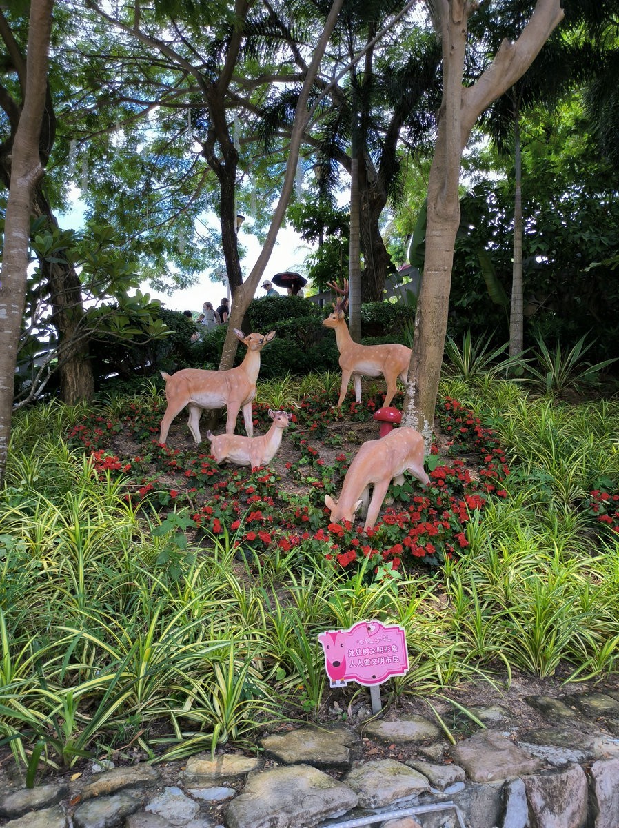 2024夏 海南环岛行（103）鹿女回头处