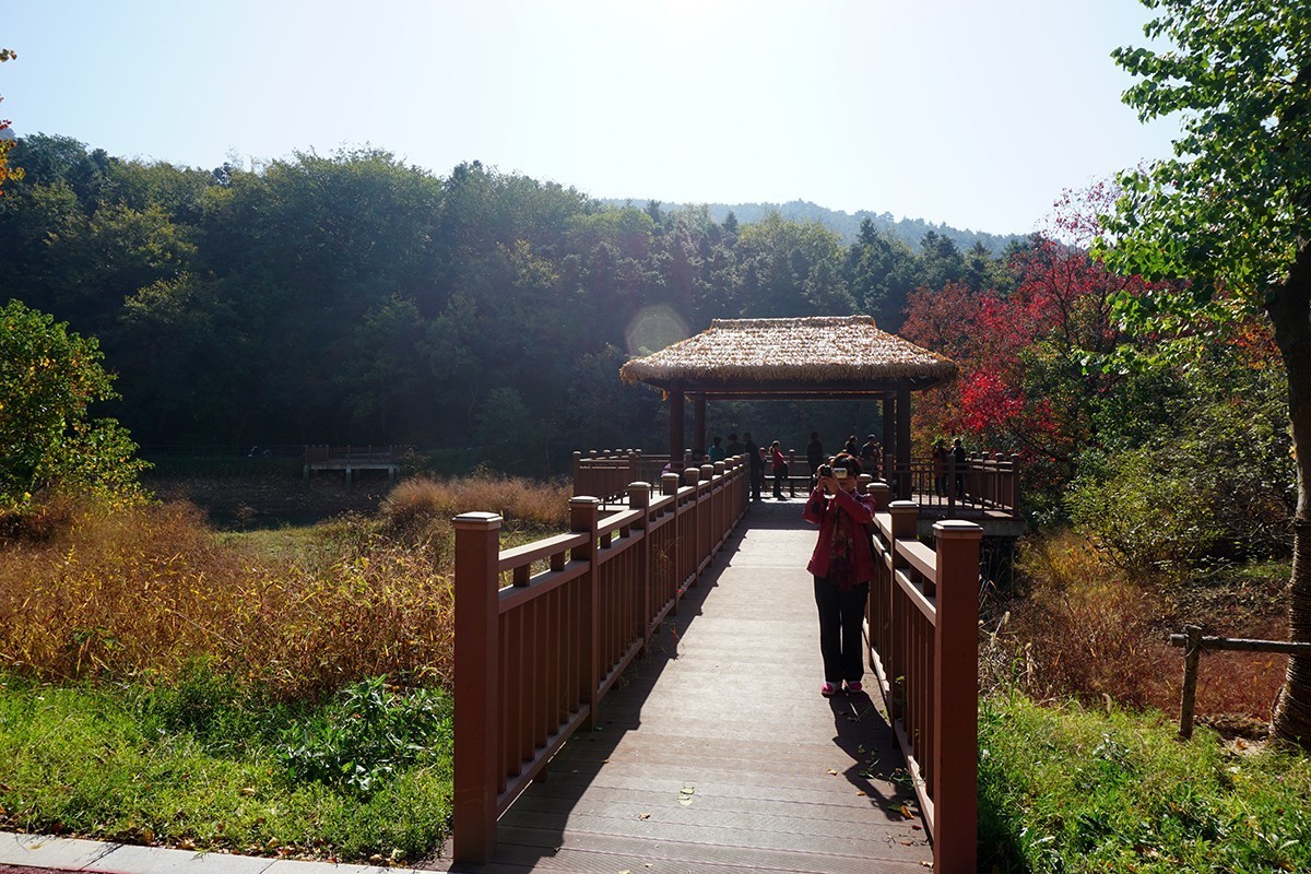 秋游向阳水库（当涂横山）