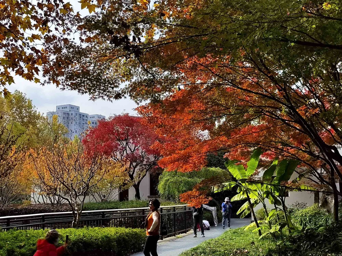 闸北公园【续】