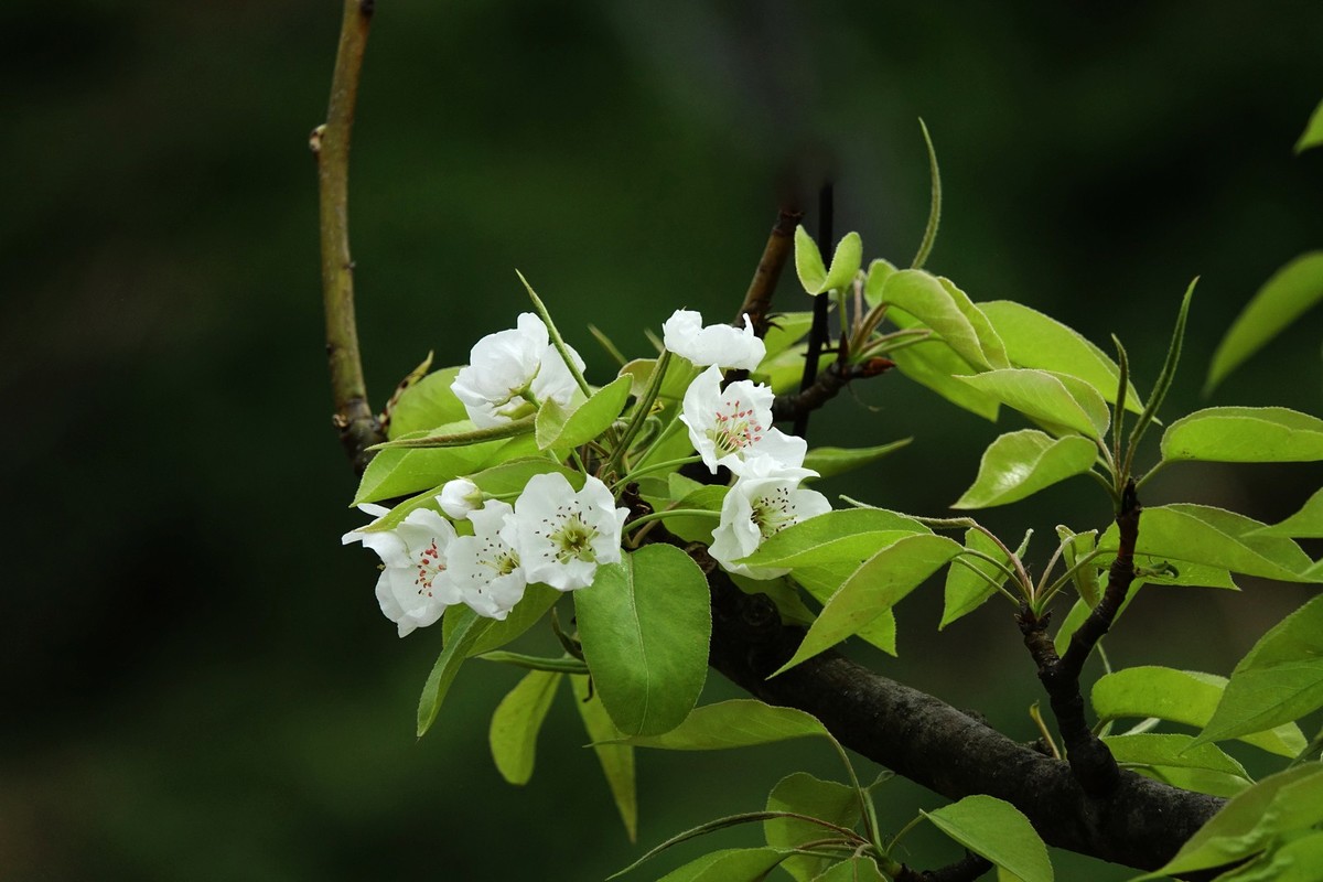 我只是把出去看到的随手记录下来（132）