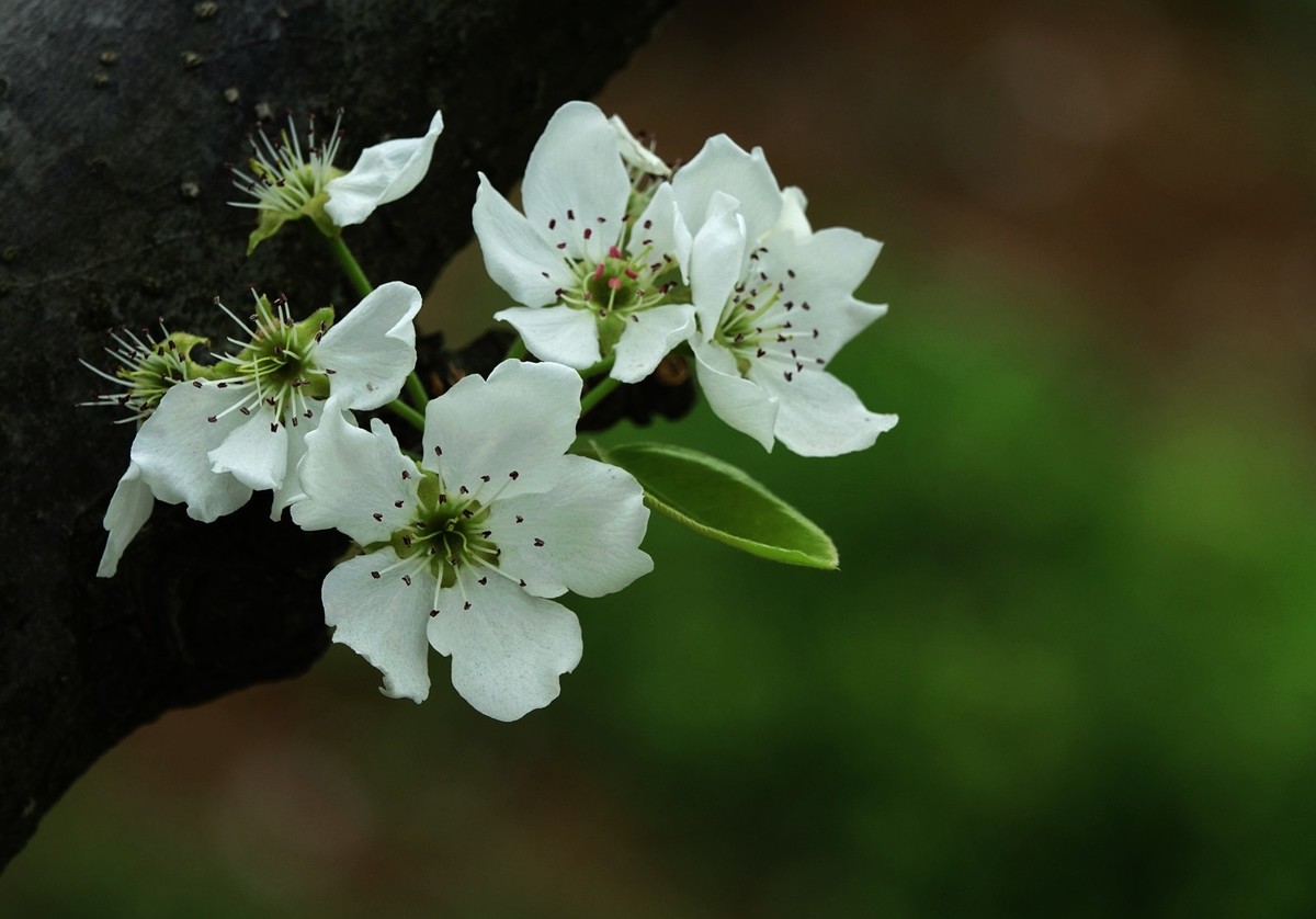 我只是把出去看到的随手记录下来（132）