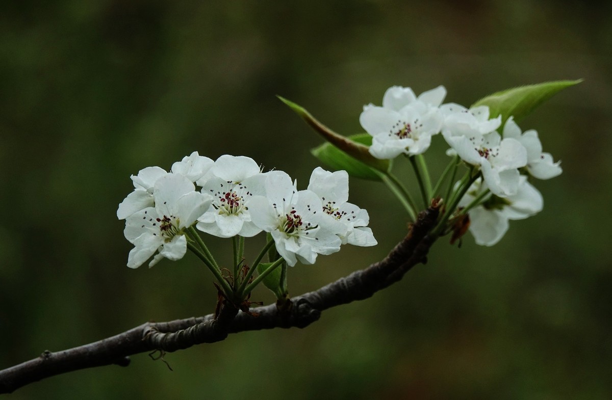 我只是把出去看到的随手记录下来（132）