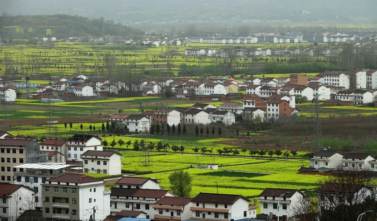 我只是把出去看到的随手记录下来（132）