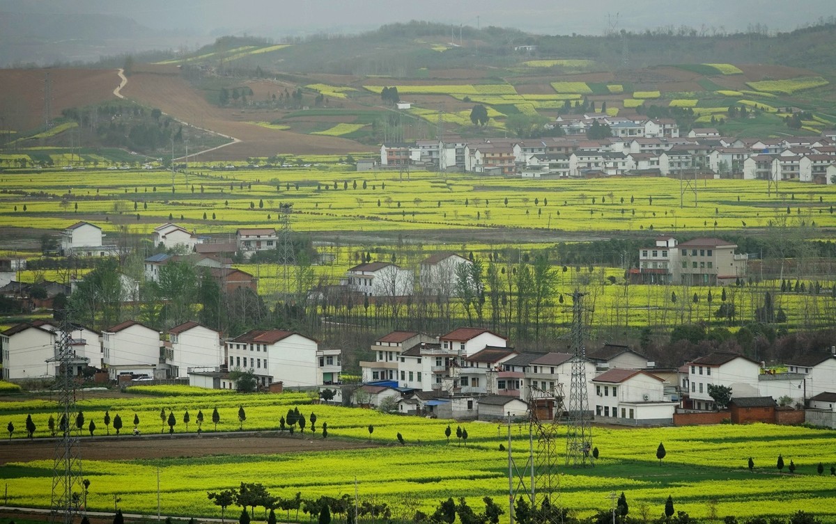 我只是把出去看到的随手记录下来（132）