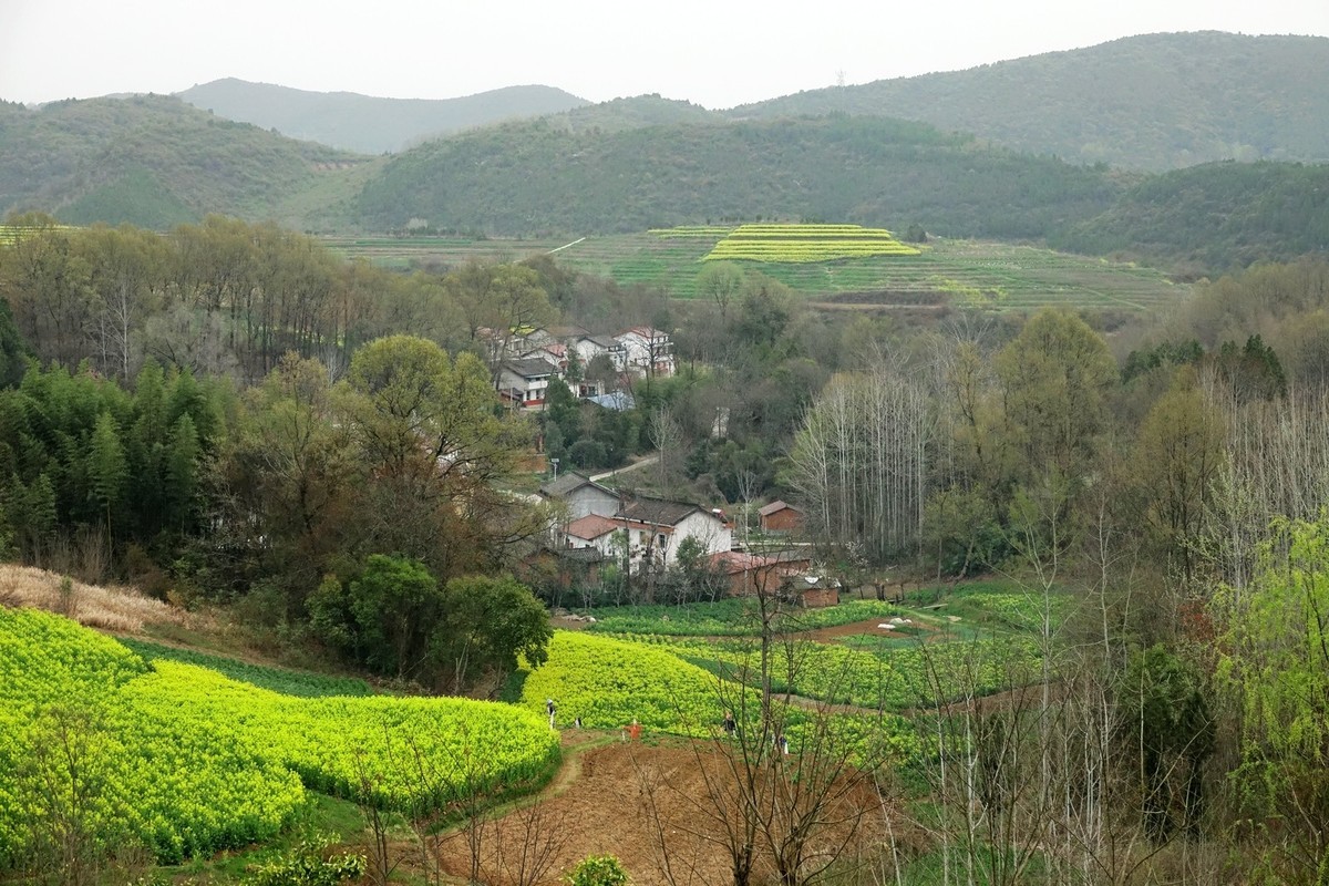 我只是把出去看到的随手记录下来（132）